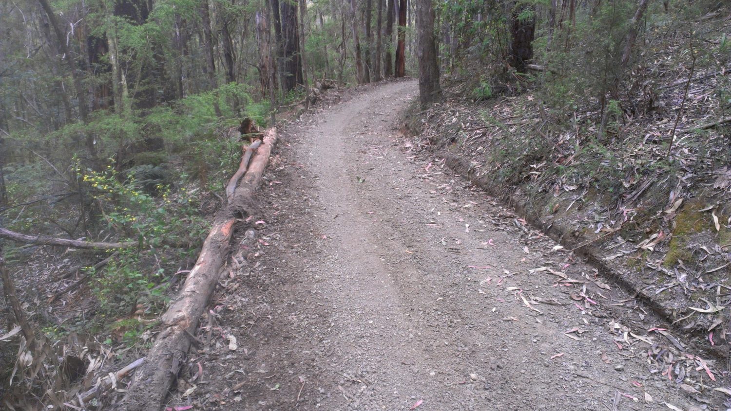 Horseshoe Bend Walking Trail Rehabilitation