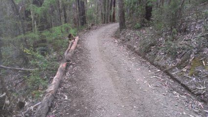 Horseshoe Bend Walking Trail Rehabilitation